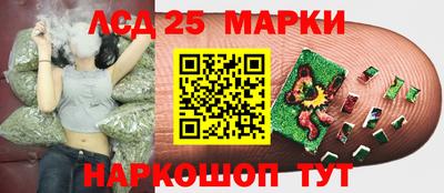ГАЛЛЮЦИНОГЕННЫЕ ГРИБЫ Краснодар